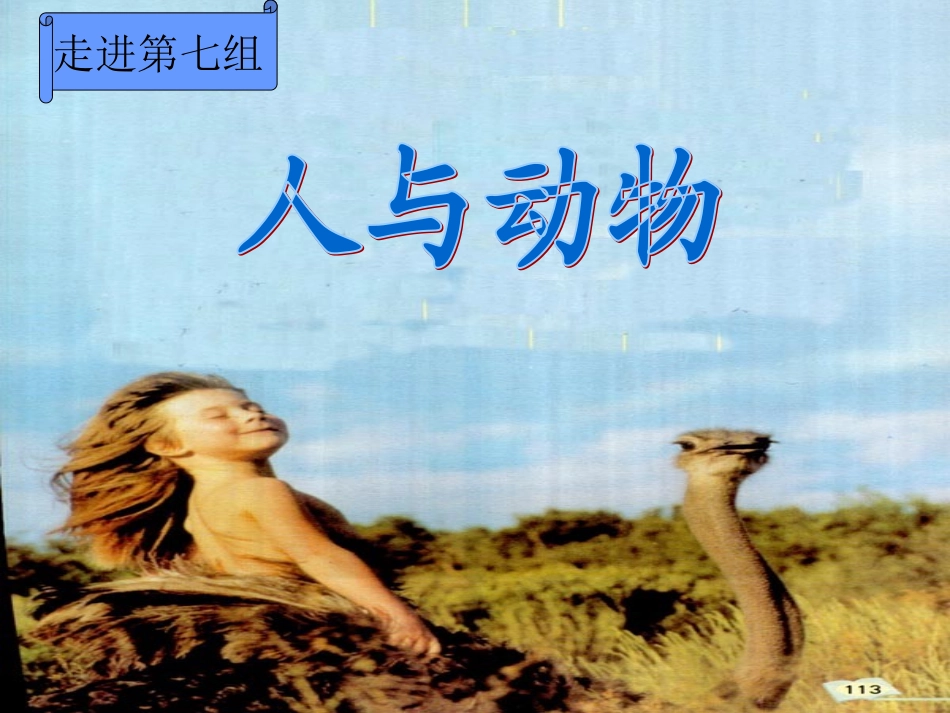 老人与海鸥课件 (2)_第2页