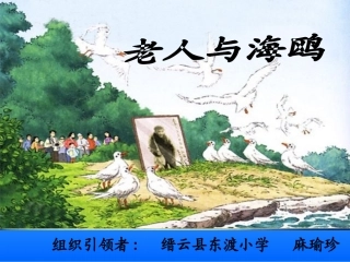 老人与海鸥课件 (2)