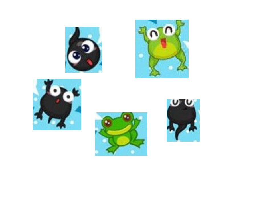 小蝌蚪找妈妈_第2页