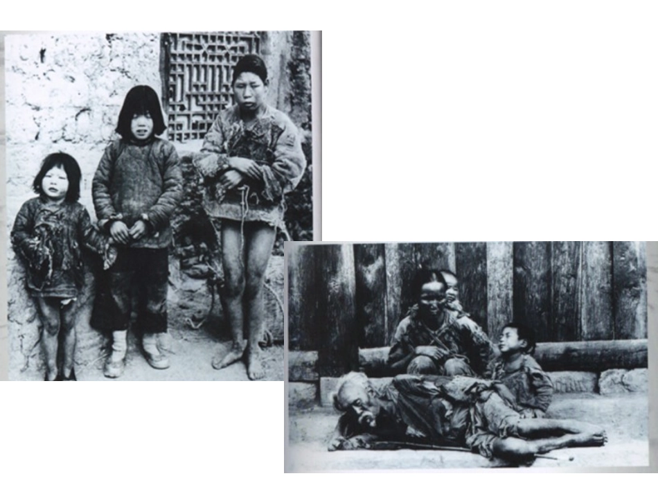 第3课土地改革_第3页