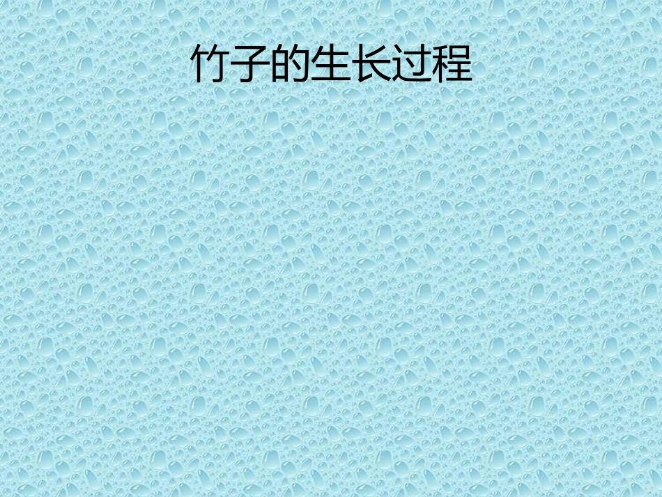 竹子的生长过程_第1页