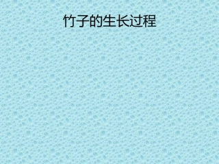 竹子的生长过程
