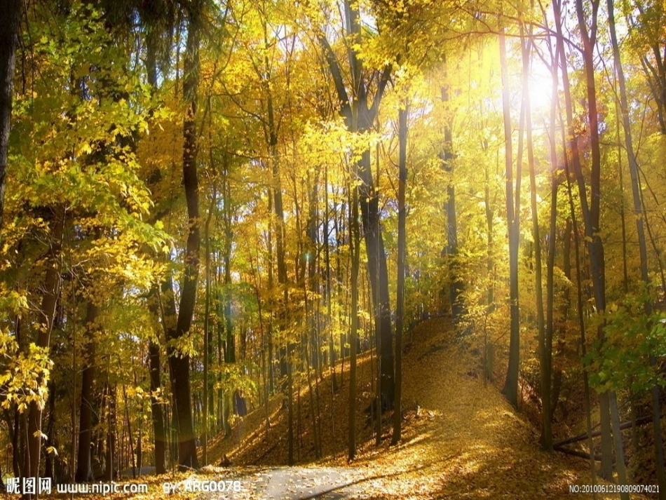 《汉字家园(一)①》课件_第2页