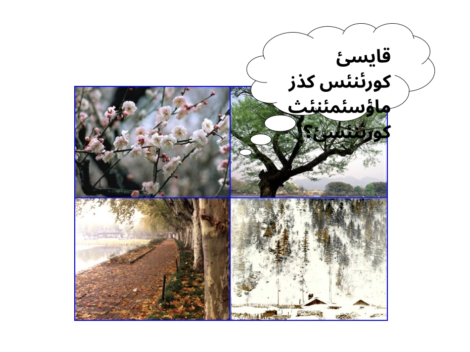 哈语文二年级课件_第3页