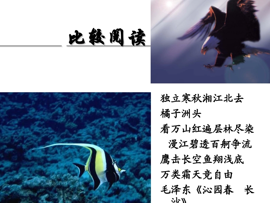 故都的秋2课件_第3页