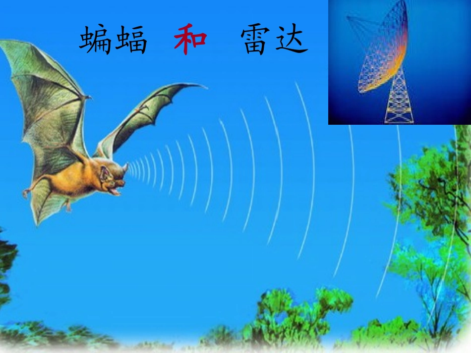 《蝙蝠和雷达》课件_第2页