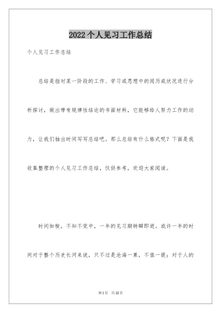 2024个人见习工作总结