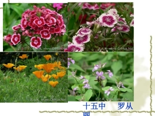 《自己的花是让别人看的》课件