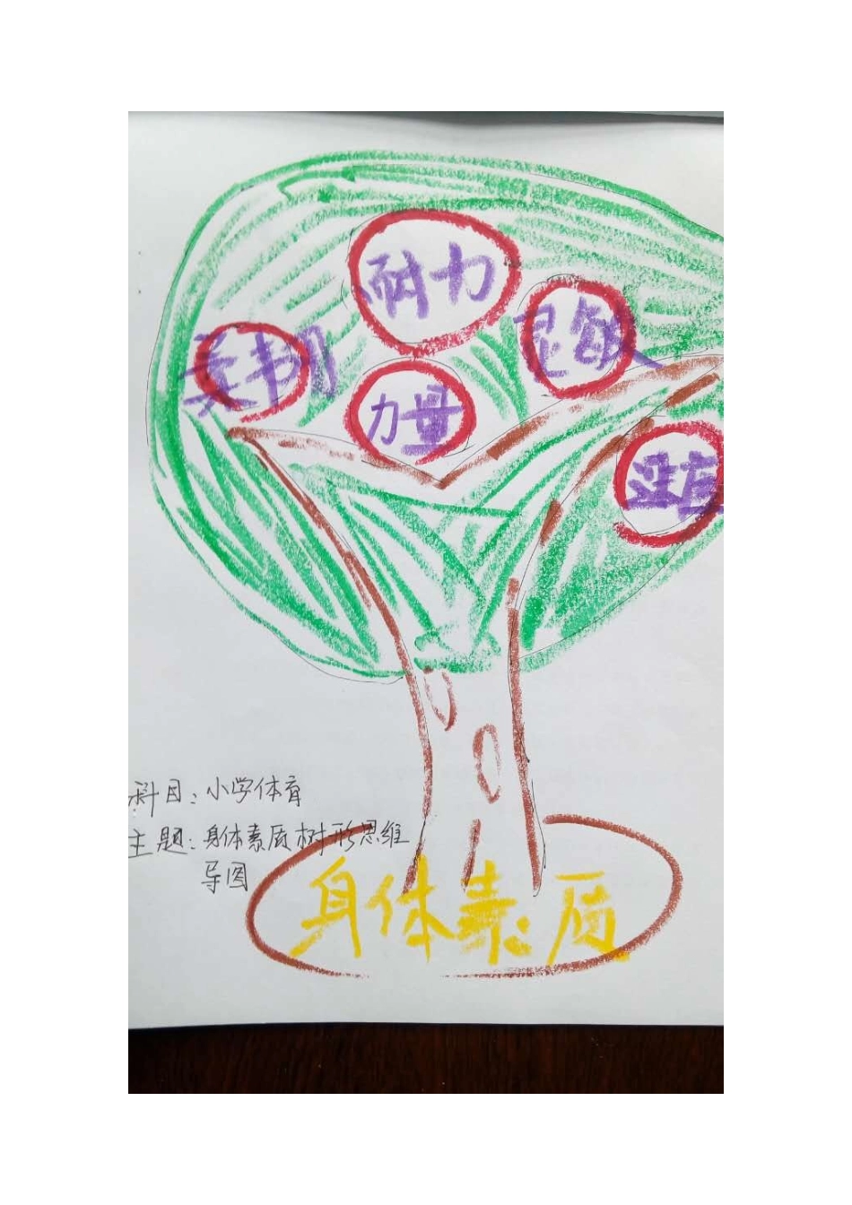 小学体育身体素质树形思维导图_第1页