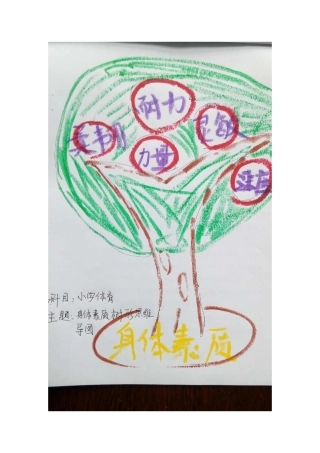 小学体育身体素质树形思维导图