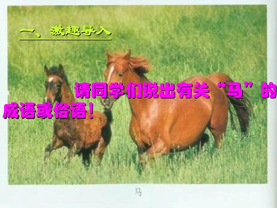 《马说》sahngke课件_第3页