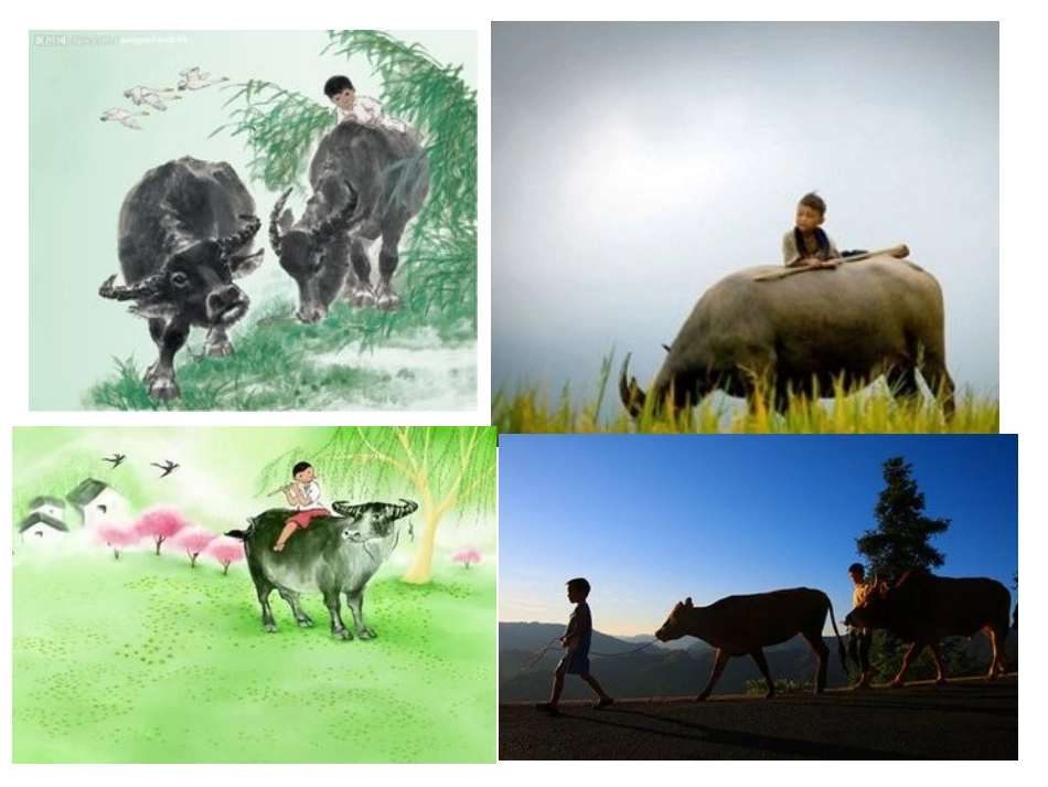 《放牛歌》《牧童短笛》《牧童》课件_第3页