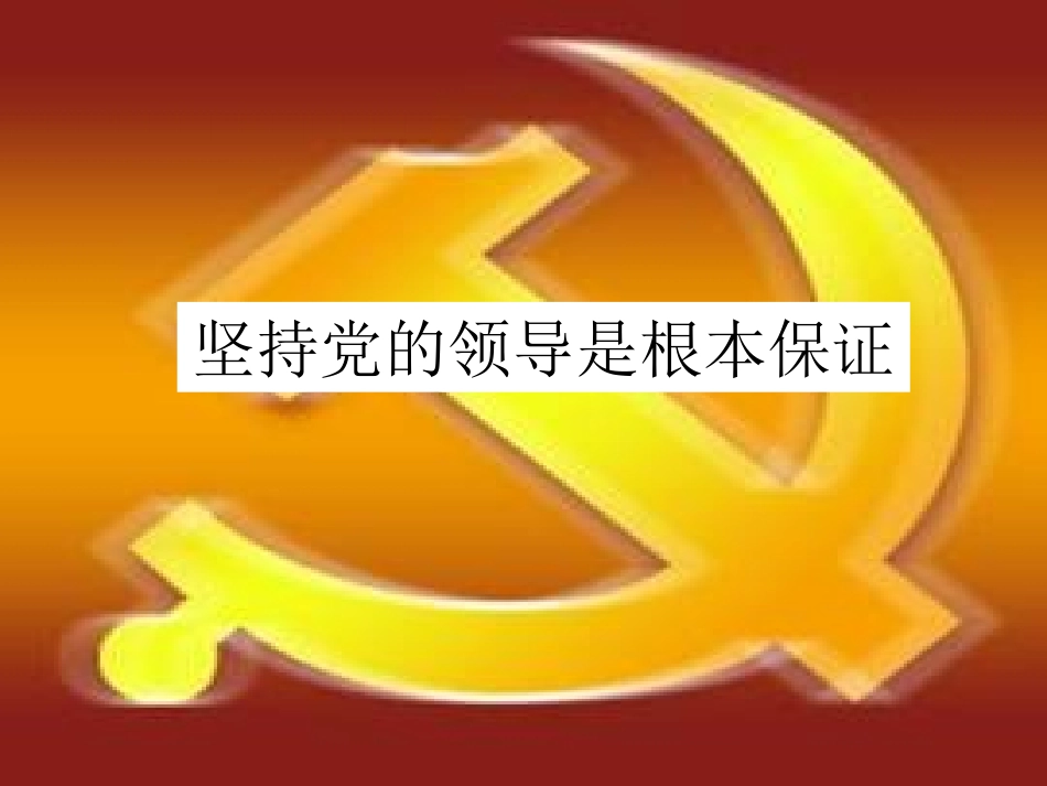 -党的领导人民当家做主_第3页