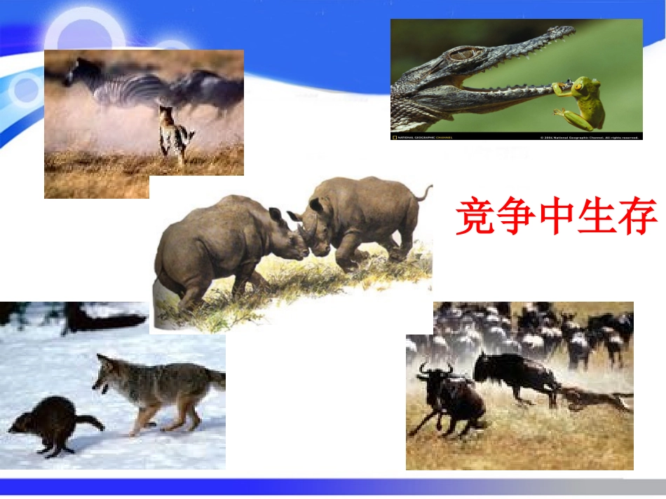 竞争合作10_第2页