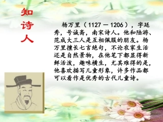 《宿新市徐公店》PPT课件