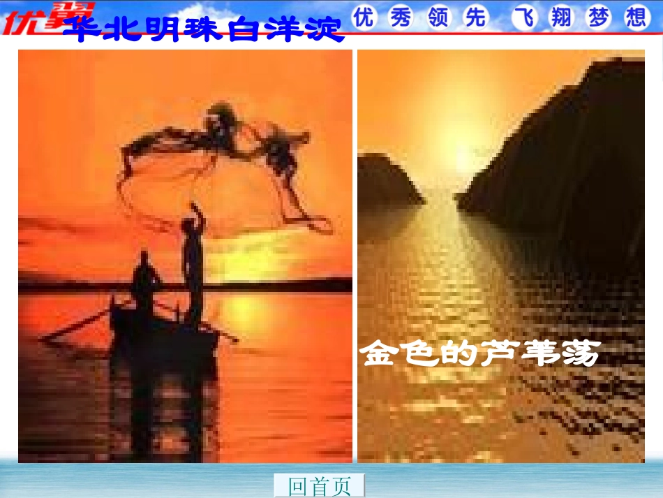 人教新课标版初中八上《芦花荡》课件_第2页