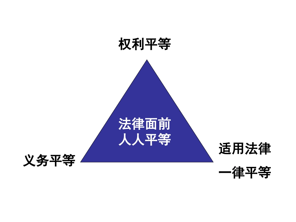 法律面前人人平等_第3页