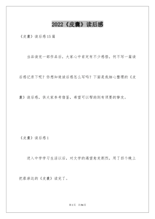 2024《皮囊》读后感_5