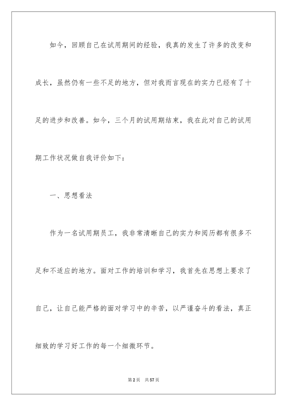 2024it试用期员工自我评价_第2页
