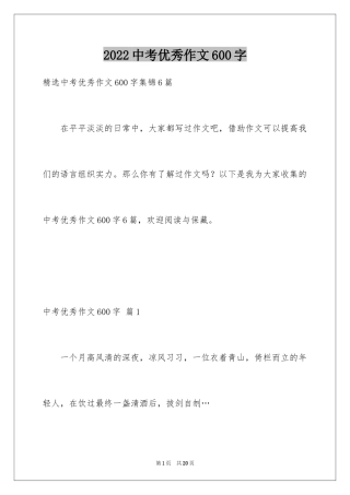 2024中考优秀作文600字_16