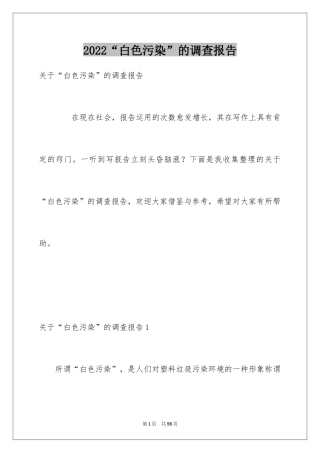2024“白色污染”的调查报告_2