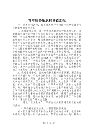 青年服务新农村调查汇报