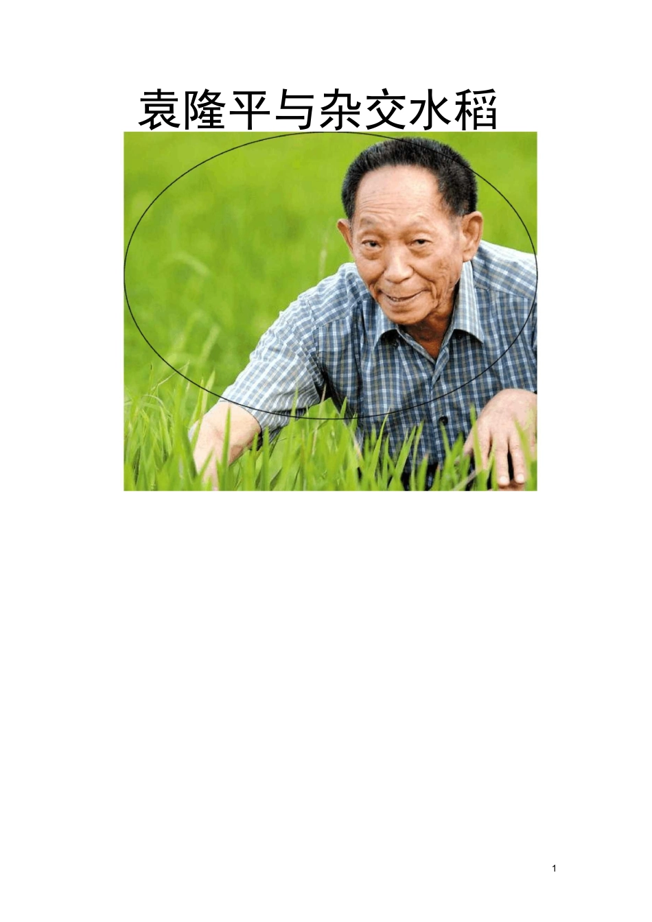 《科学家的故事——袁隆平与杂交水稻》教学设计_第1页
