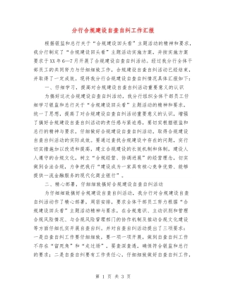 分行合规建设自查自纠工作汇报