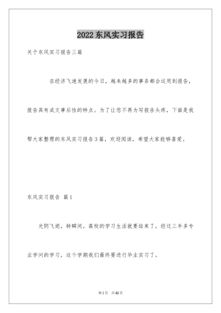 2024东风实习报告