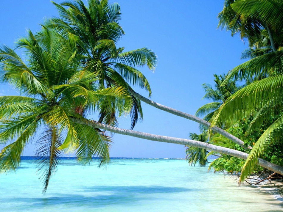 课题4_爱护水资源题_第2页