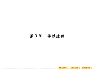 第3节　伴性遗传