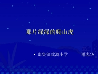 那片绿绿的爬山虎（带修改作文）