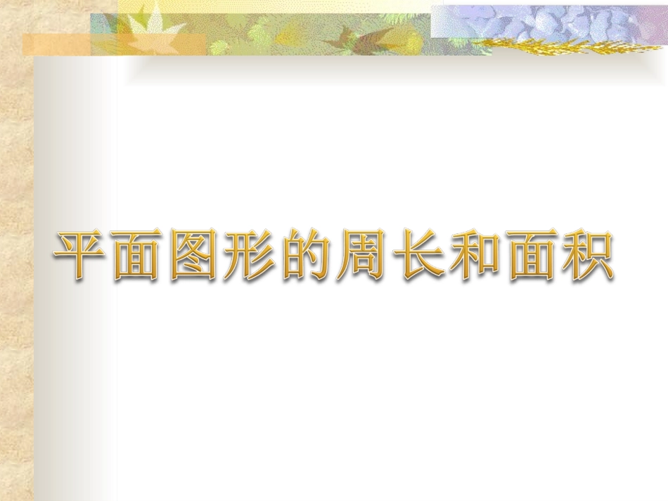 平面图形的周长和面积_第1页