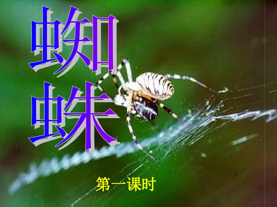 第三板块蜘蛛_第2页