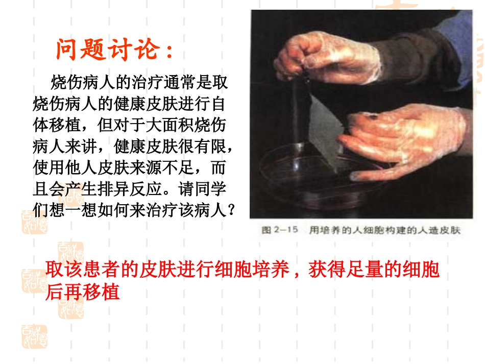 动物细胞培养与核移植_第3页