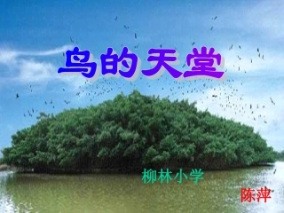 《鸟的天堂》PPT课件