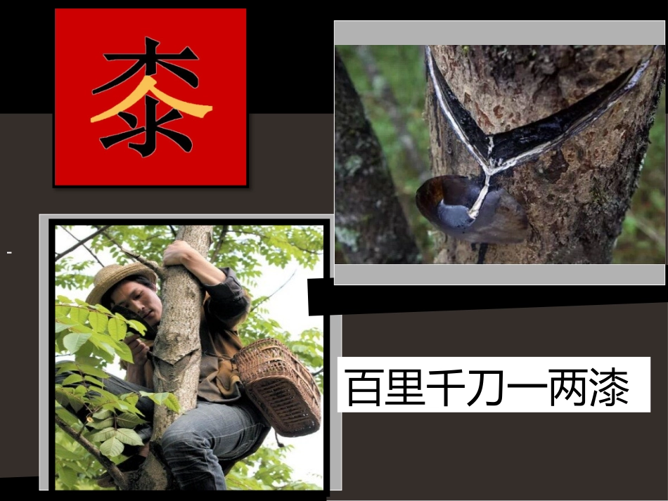成都漆器陈明艳_第3页