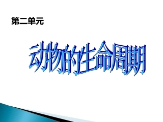 第1课：蚕卵里孵出的新生命