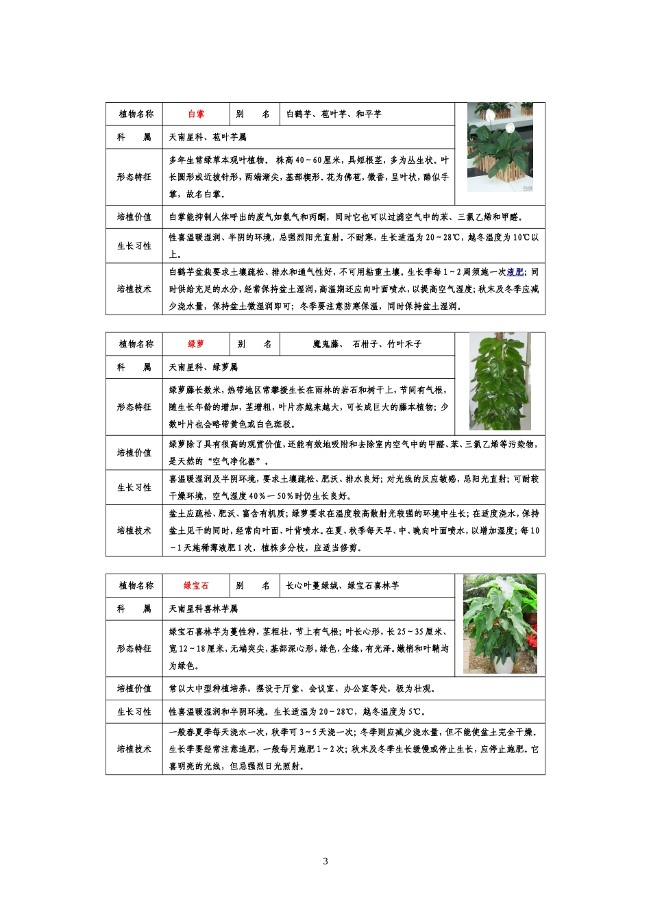 种盆栽植物图片及名称_第3页