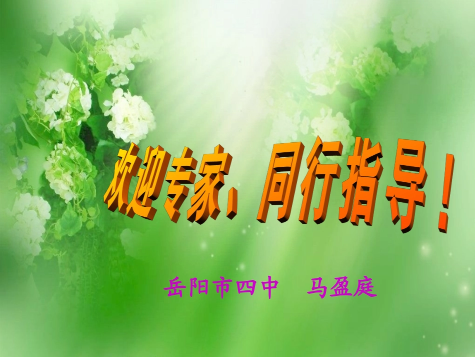 用字母表示数课件_第1页