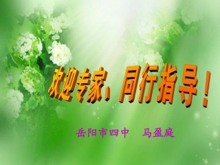 用字母表示数课件