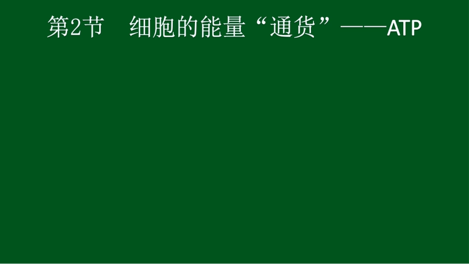 细胞的能量“通货”_第3页