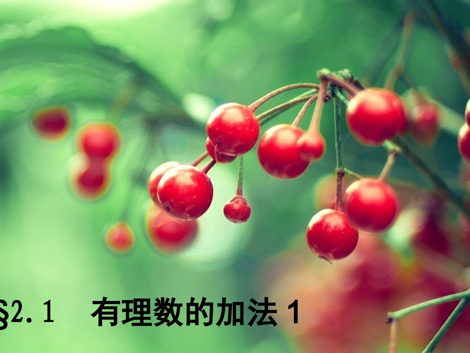 有理数的加法(第课时)_第1页