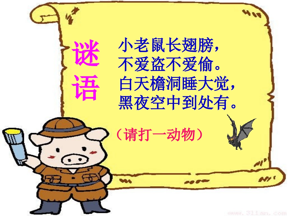 蝙蝠和雷达课件_第1页