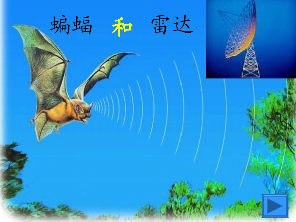 蝙蝠和雷达课件_第2页