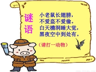 蝙蝠和雷达课件