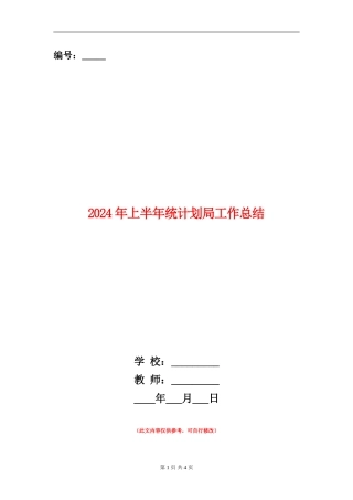2024年上半年统计划局工作总结【新版】