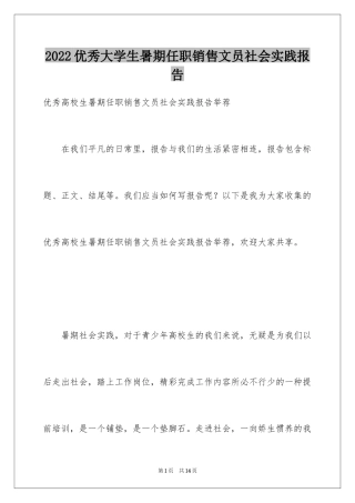 2024优秀大学生暑期任职销售文员社会实践报告