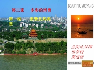 必修一31消费及其类型