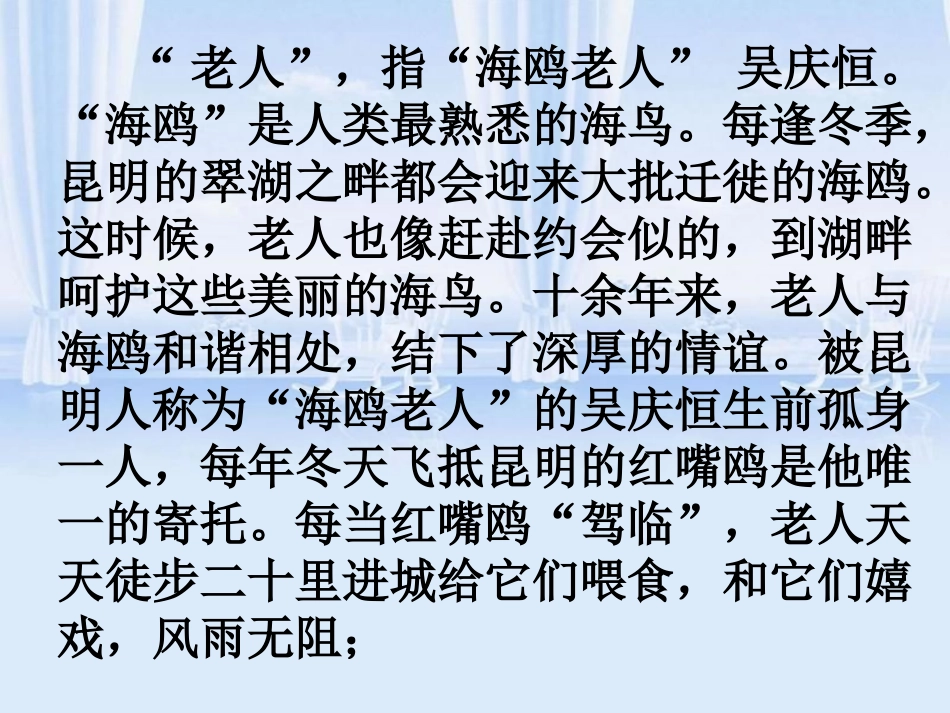 《老人与海鸥》课件1_第2页